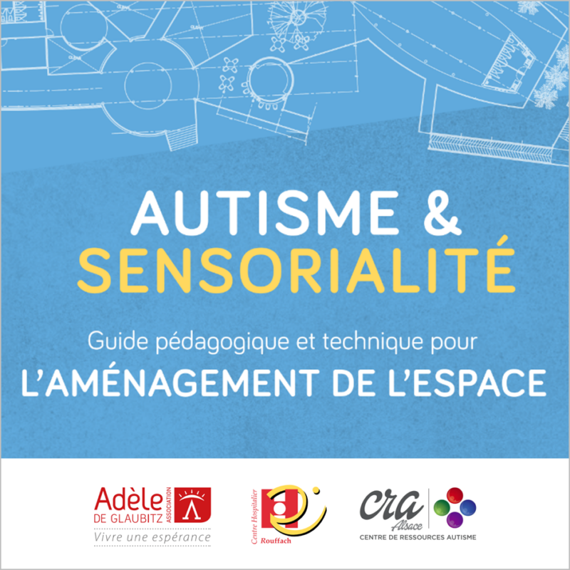 Autisme Et Sensorialité : Guide Pédagogique Et Technique Pour L ...